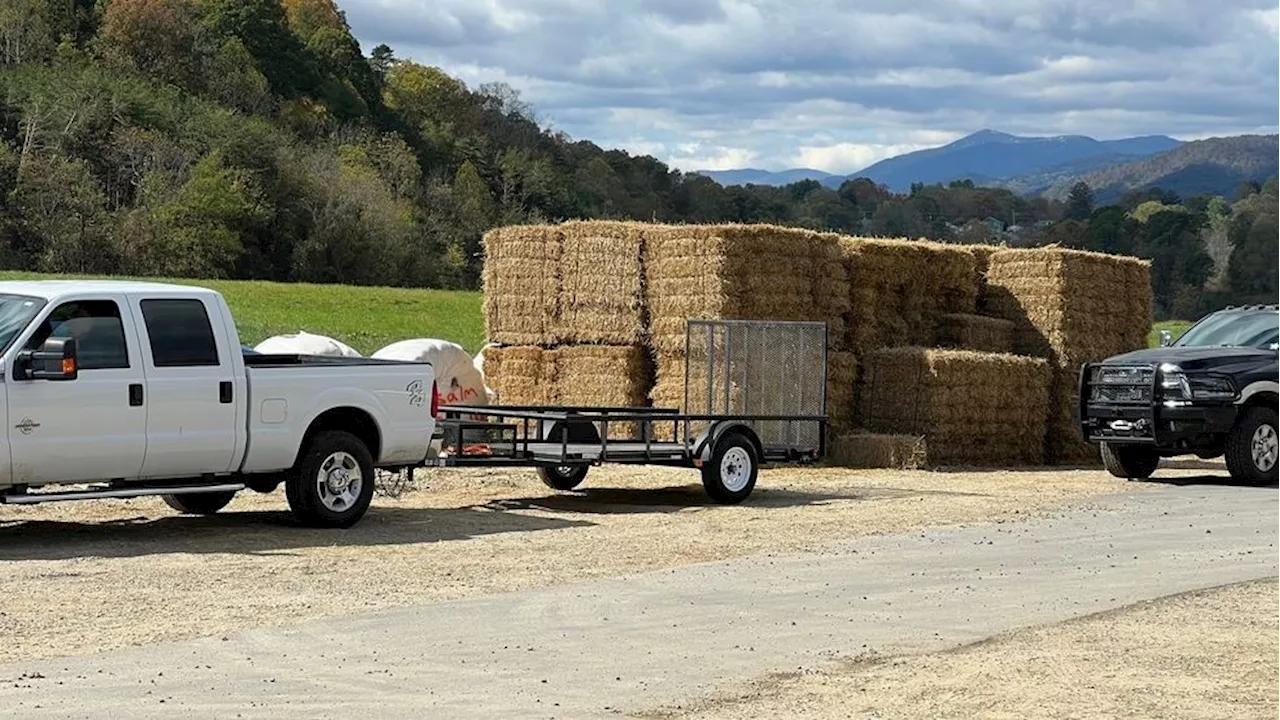 Hurricane Helene leaves Western North Carolina farmers struggling with losses