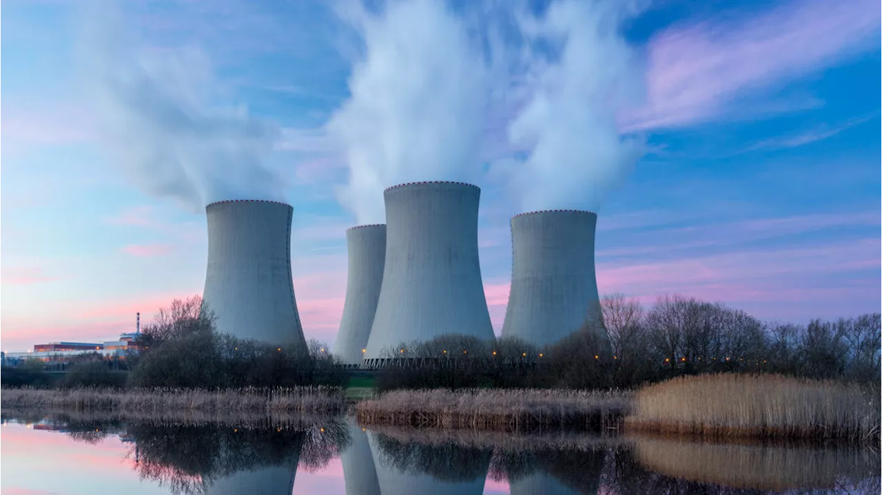 Nuclear reactors an 'emerging space' to meet rising energy needs