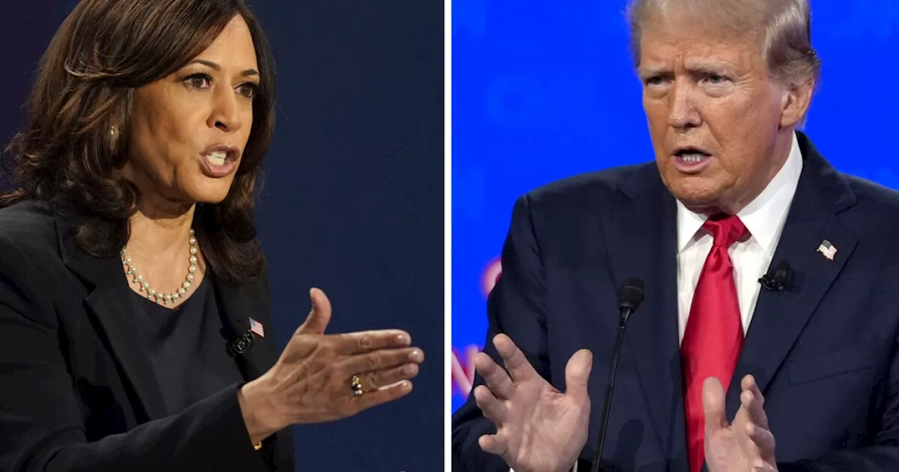 Harris, Trump court suburban Pennsylvania voters in path to White House