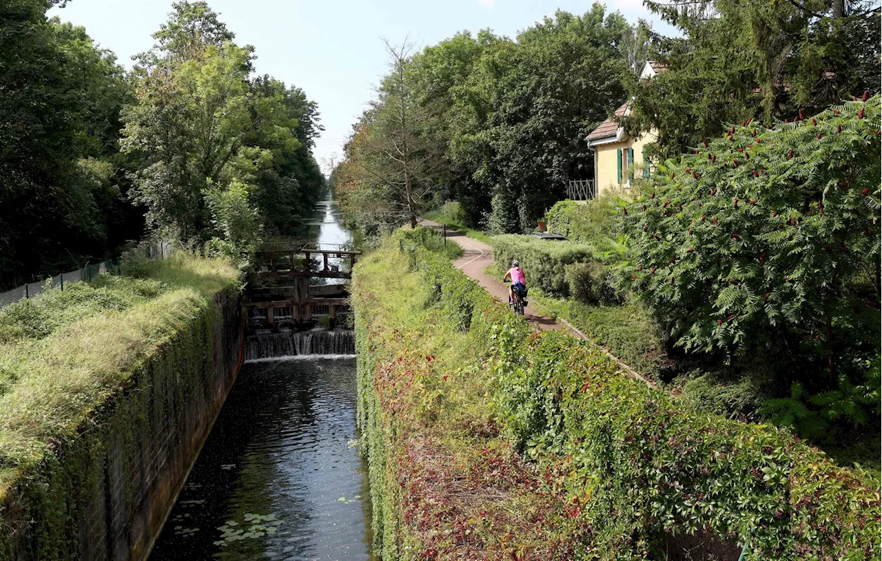 Alsace : La remise en navigation du canal Rhin-Rhône suspendue