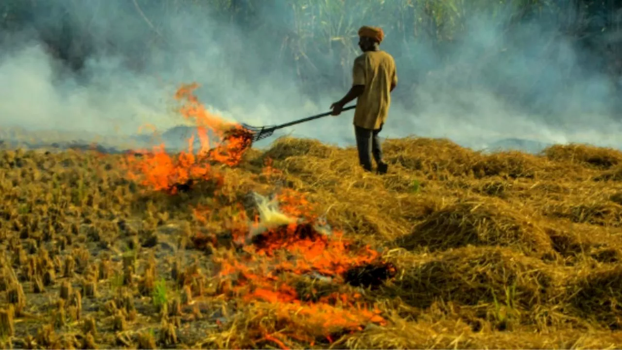 हरियाणा सरकार का सख्त आदेश: पराली जलाने पर होगी FIR, मंडियों में फसल बेचने पर भी लगेगी रोक