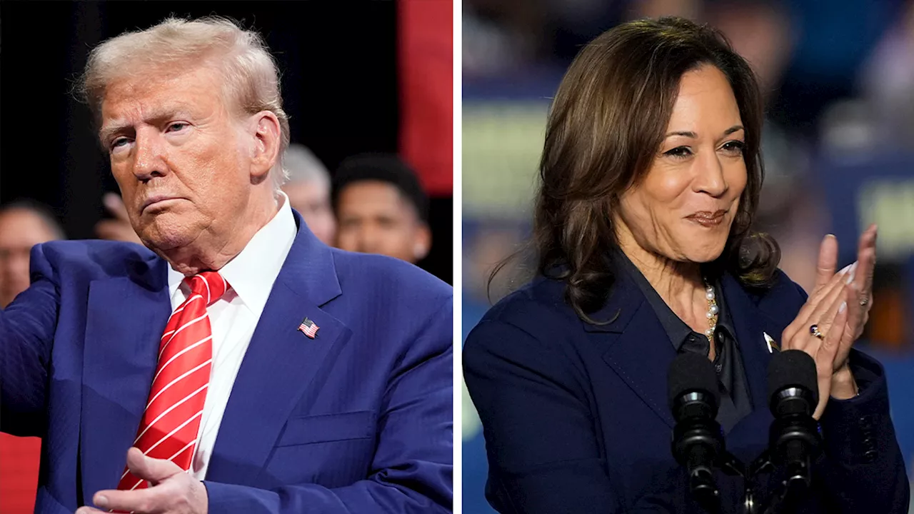 Kamala Harris campaigns in battleground Michigan