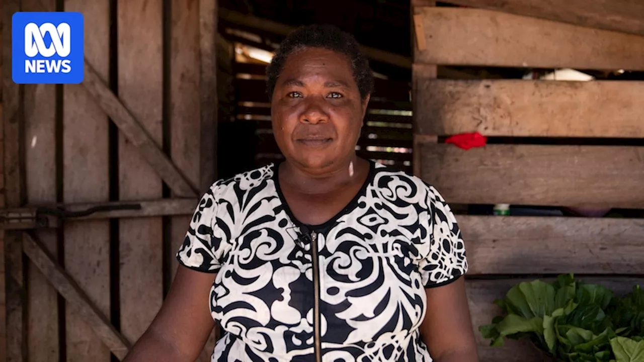 Logging in Solomon Islands sees women 'sold' into relationships with foreign workers