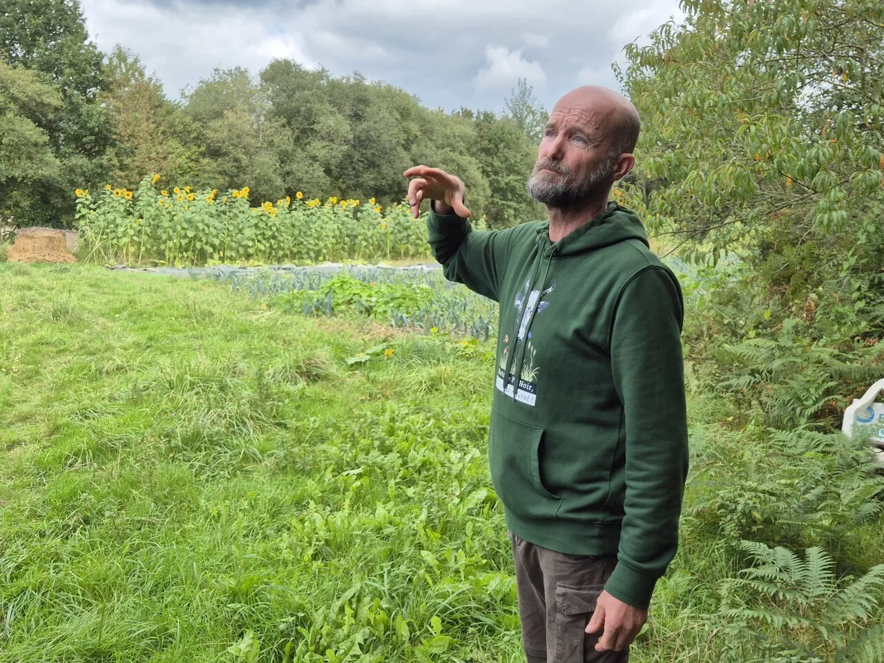 À Boisgervilly (35), Louis Collet a fait de ce lieu un espace pour privilégier la biodiversité