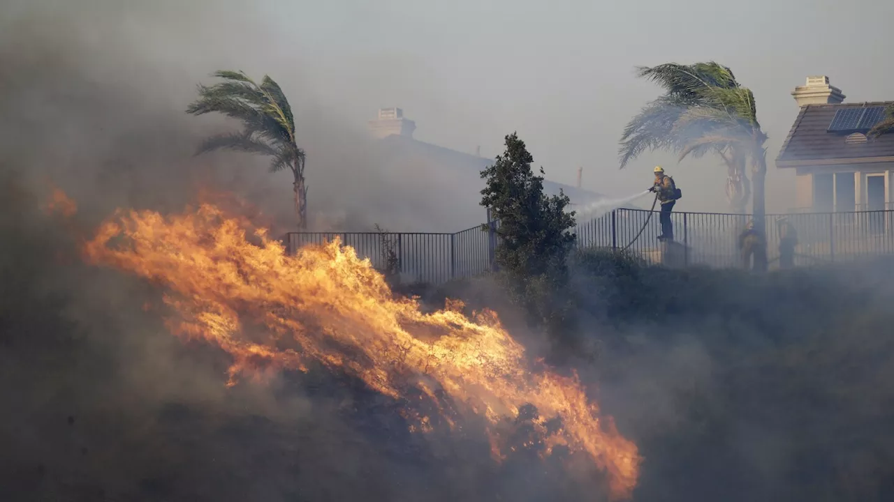 California utility shuts off power in 12 counties as 'diablo' wind spikes risk of wildfires