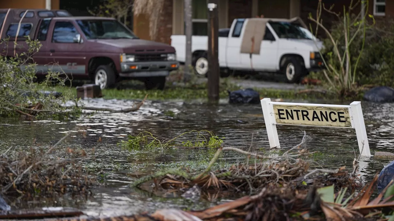 Florida official warns Hurricane Milton victims about scammers posing as FEMA workers