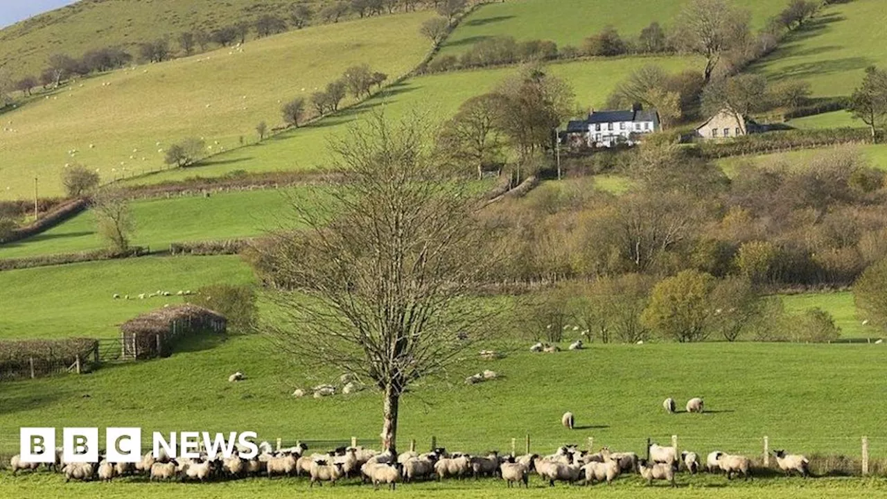 Scrapping tax relief could 'break-up' Welsh family farms