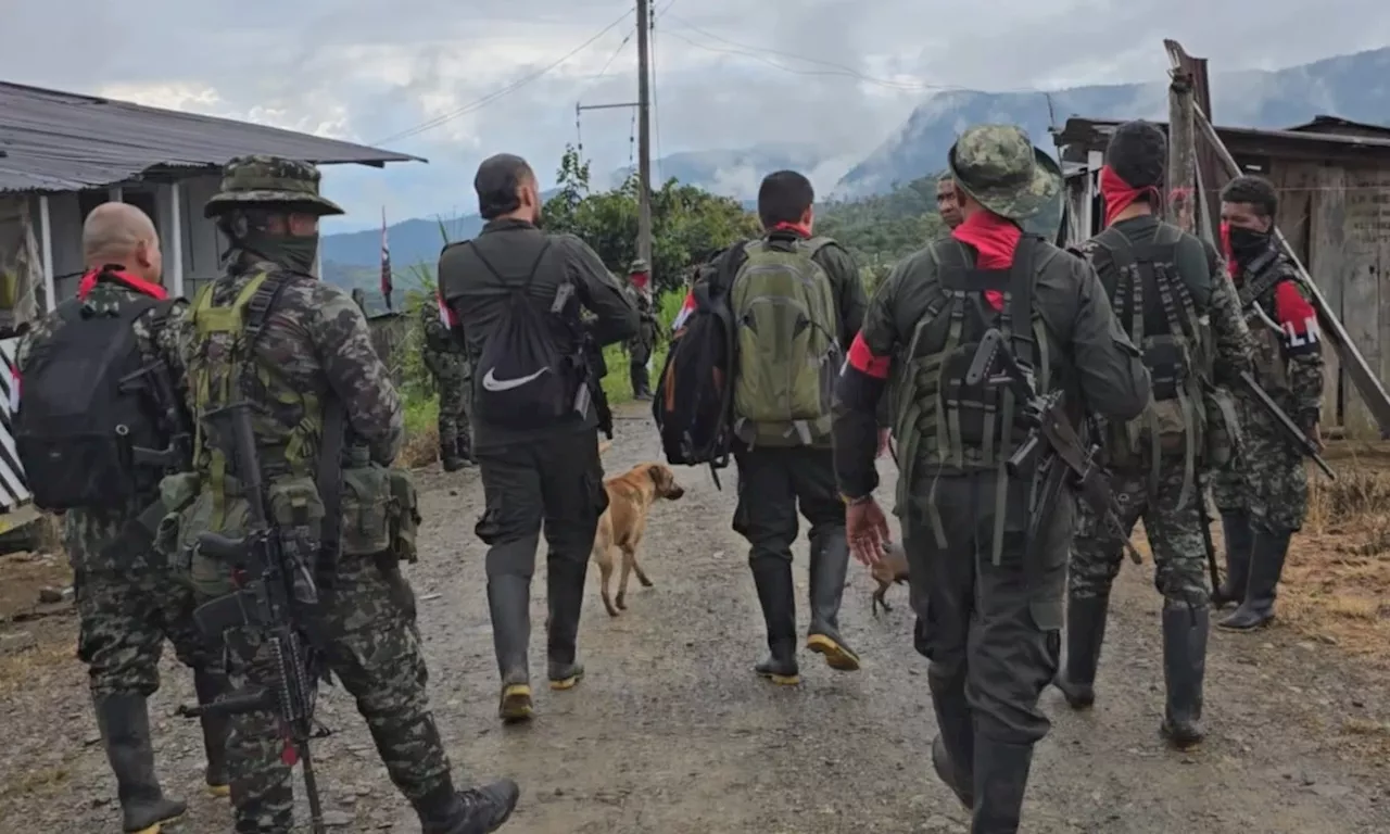 Cien miembros de Comuneros del Sur serán los primeros en entregar armas y concentrarse en Nariño