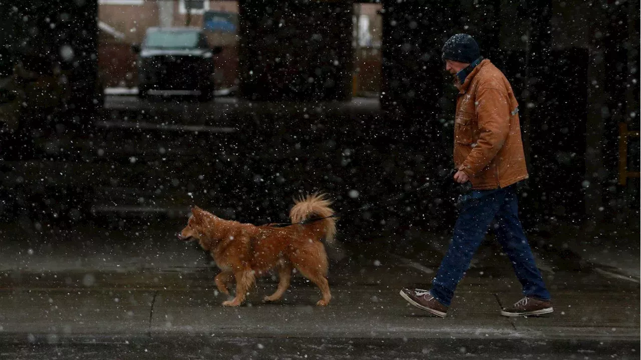 Atmospheric river hits B.C. coast, bringing rain, wind and flood risks