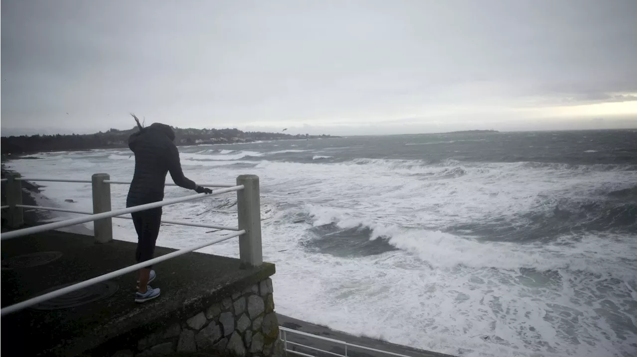 Environment Canada issues rainfall, wind warnings for parts of Vancouver Island