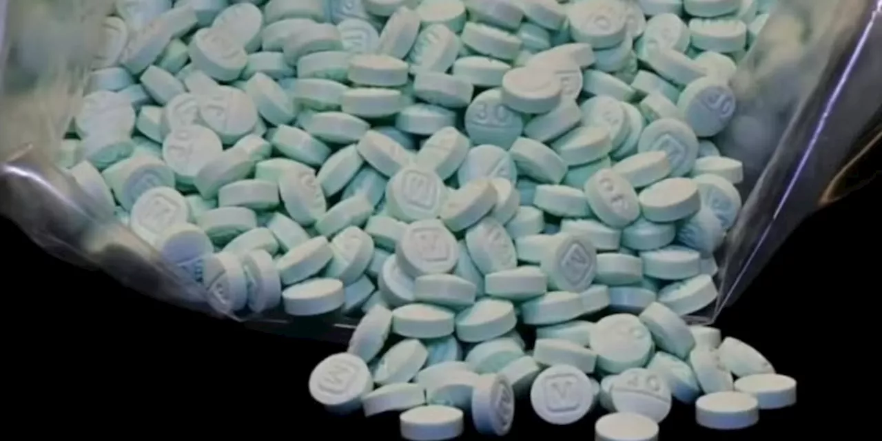 Lake County traffic stop turns over 325 fake pills