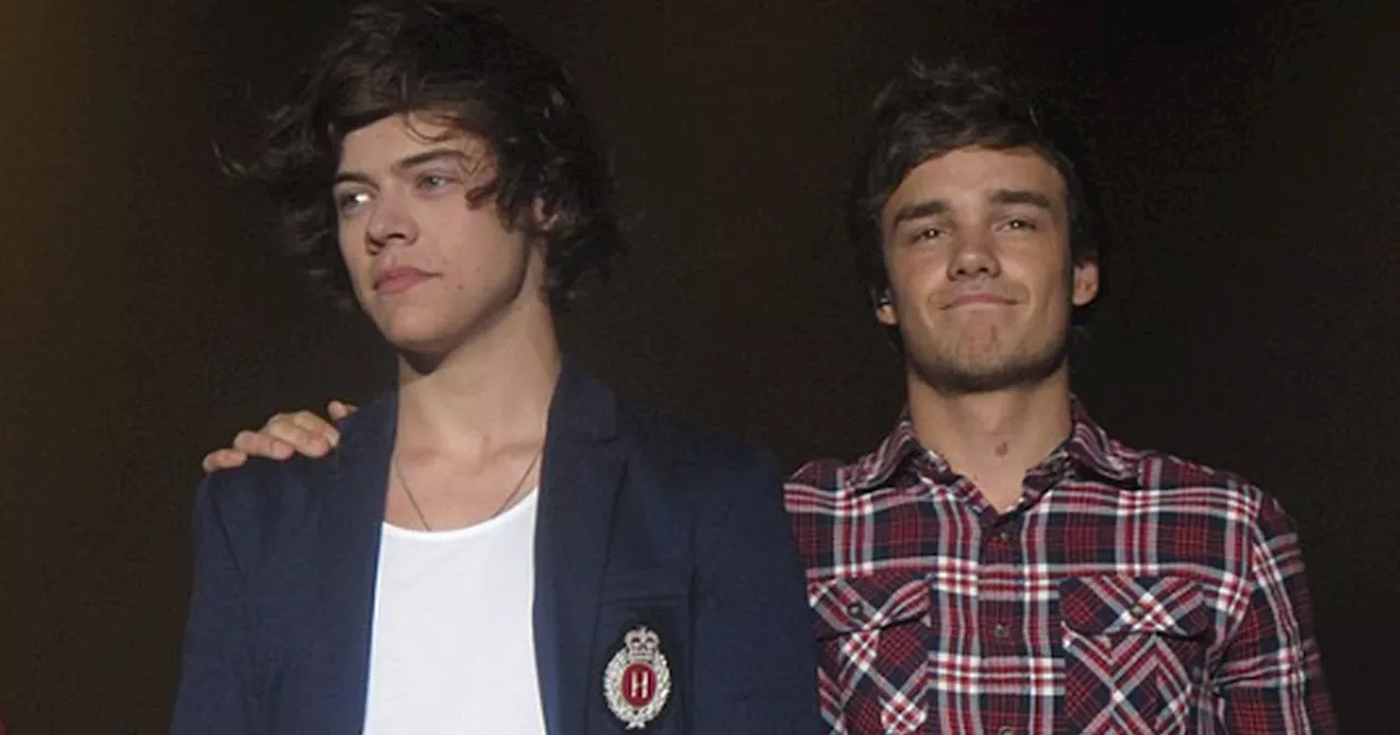 Harry Styles bryder tavsheden efter tabet af Liam Payne: 'Jeg er oprigtigt knust'