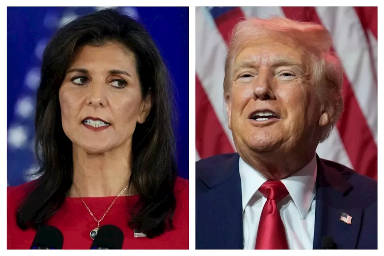 Trump Open To Campaign Trail Collaboration With Nikki Haley Despite Past Rivalry