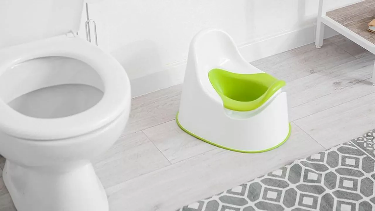 Choosing the Right Potty Training Seat for Your Toddler