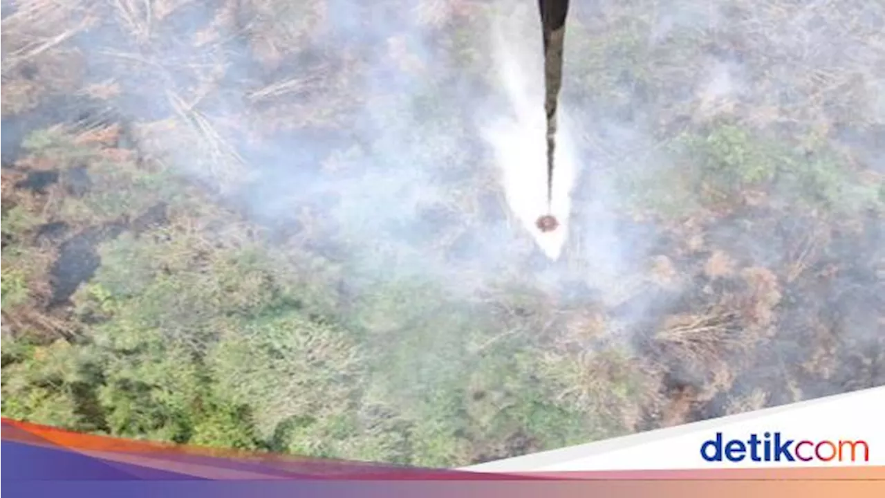 Karhutla di OKI-Muara Enim Masih Menyala, 6 Helikopter Diturunkan