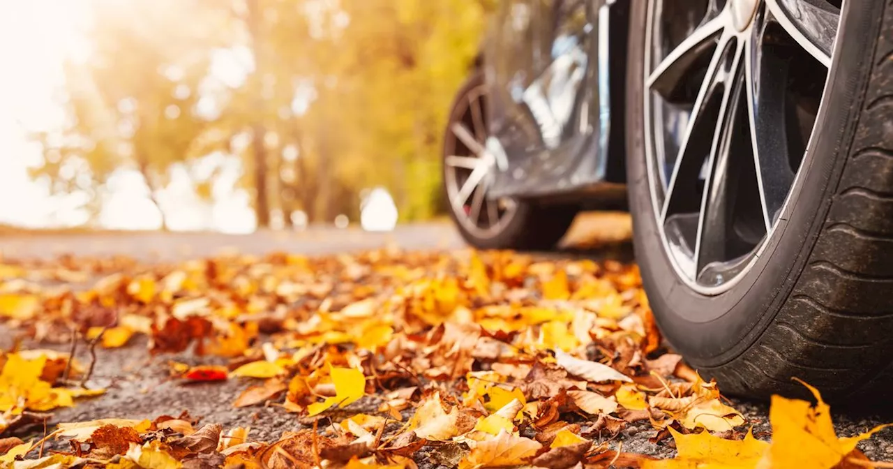 Falling Leaves Pose Hidden Dangers To Your Car This Autumn