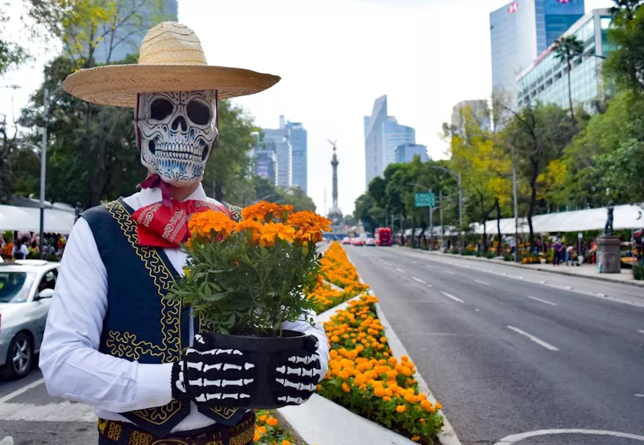 Hasta Cuándo Estará El Festival De Flores De Cempasúchil En CDMX ...