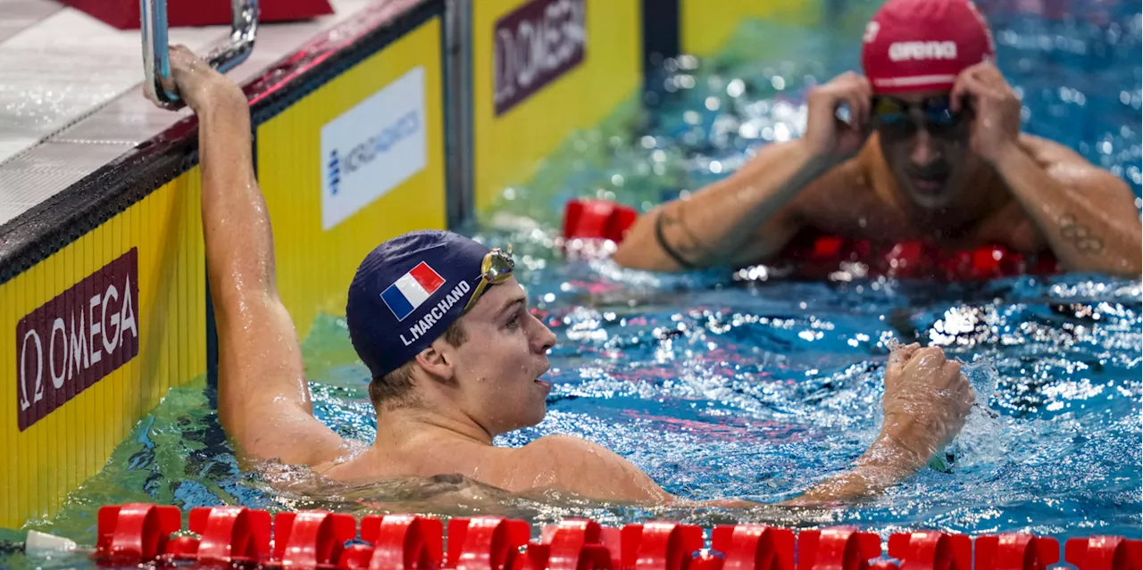 Coupe du monde de Shangaï : Léon Marchand remporte sa première victoire post-olympique, juste pour...