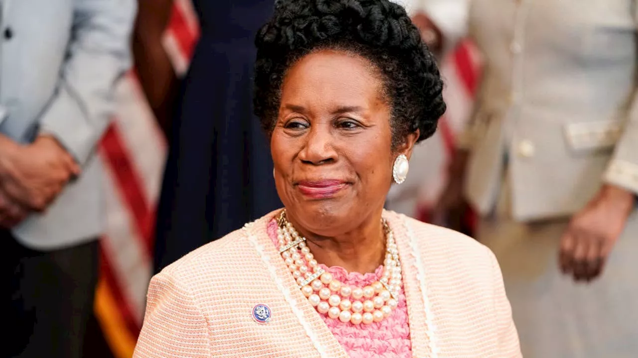 2024 Election: Guide to the confusing races to replace Sheila Jackson Lee