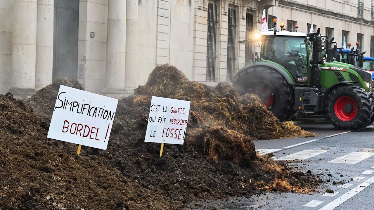 Crise agricole : 'La pression dans les exploitations est immense' prévient le président des Jeunes agriculteur