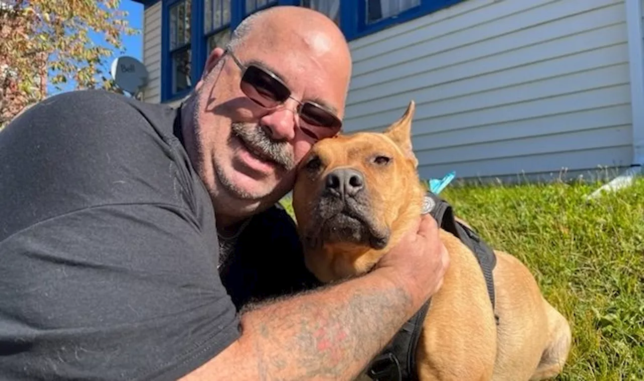 N.S. man with PTSD denied entry to rink over documentation for service dog