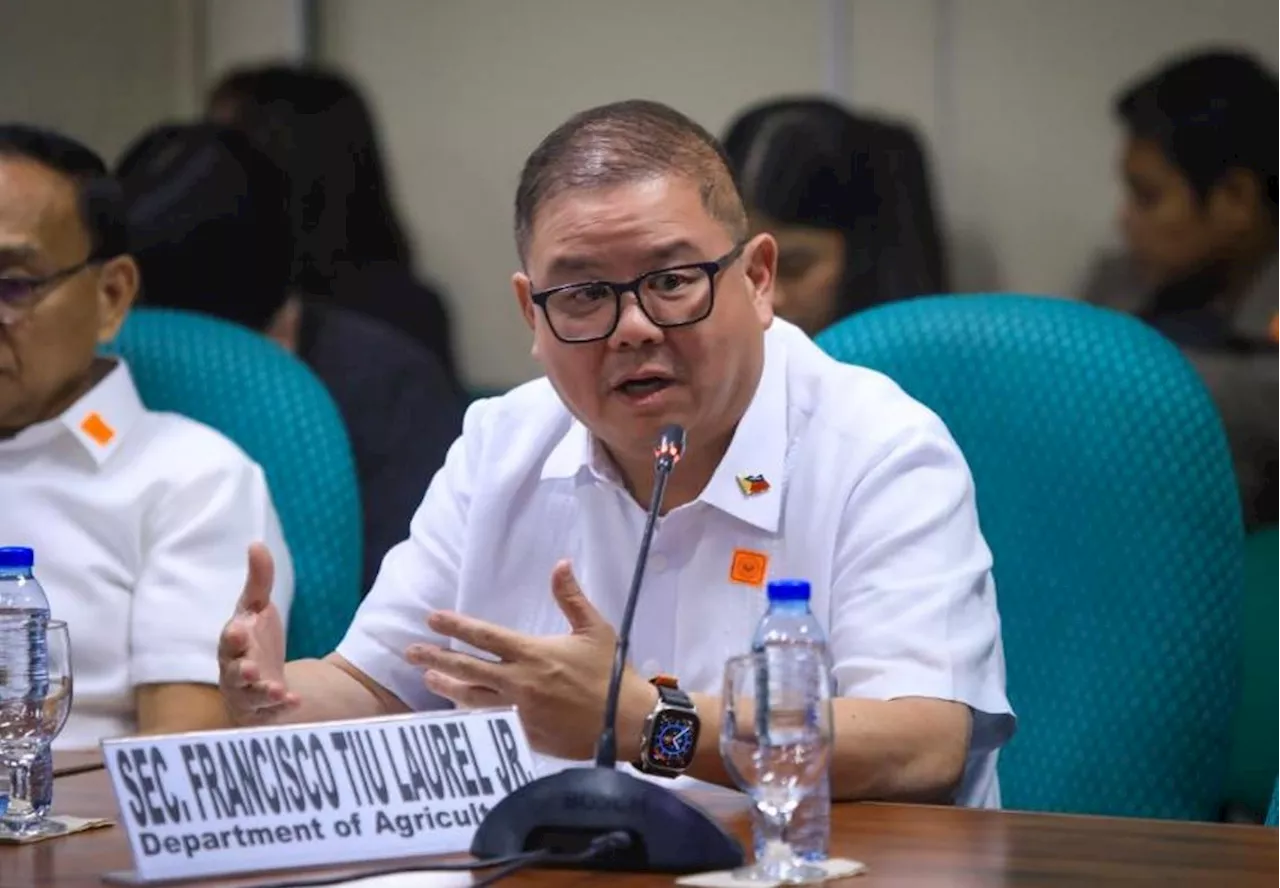 Agri chief orders refinement of ASF vaccination protocol