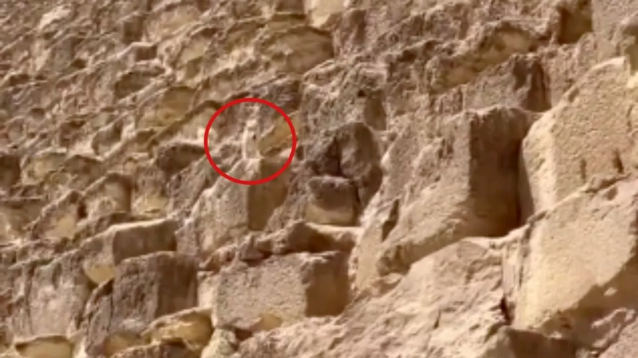 ¿Qué pasó con el perrito que conquistó la Pirámide de Giza? VIDEO