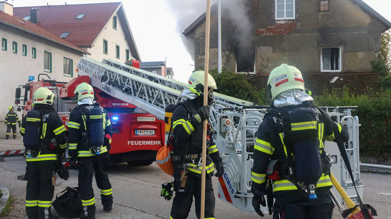  Einsatzkräfte machen Schock-Fund in 'Messie-Wohnhaus'