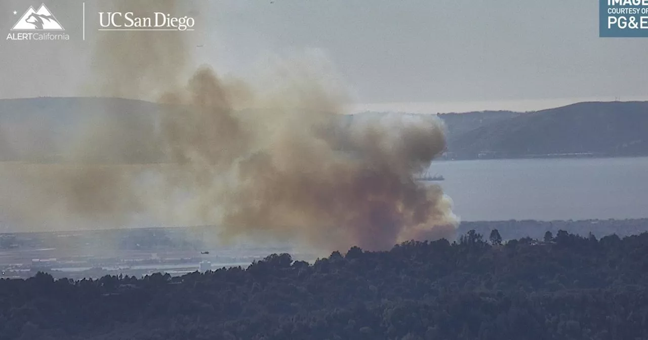 Fast-Moving Brush Fire In Oakland Prompts Evacuations Amid California 'Diablo Winds'