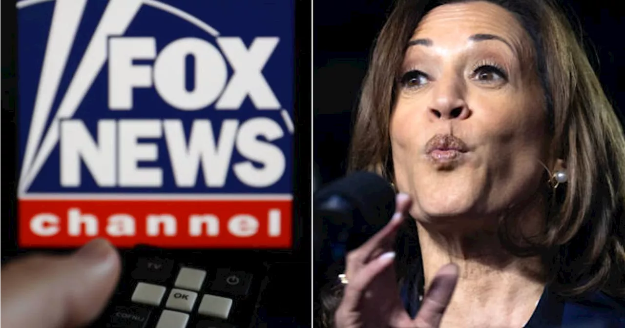 Kamala Harris Campaign Gleefully Delivers Gut Punch To Trump On Fox News Ratings