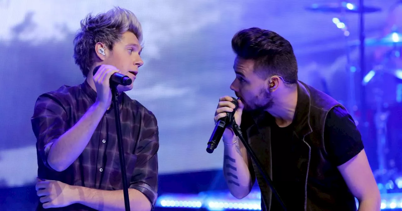 Liam Payne and Niall Horan 'ended friendship on good note' days before death