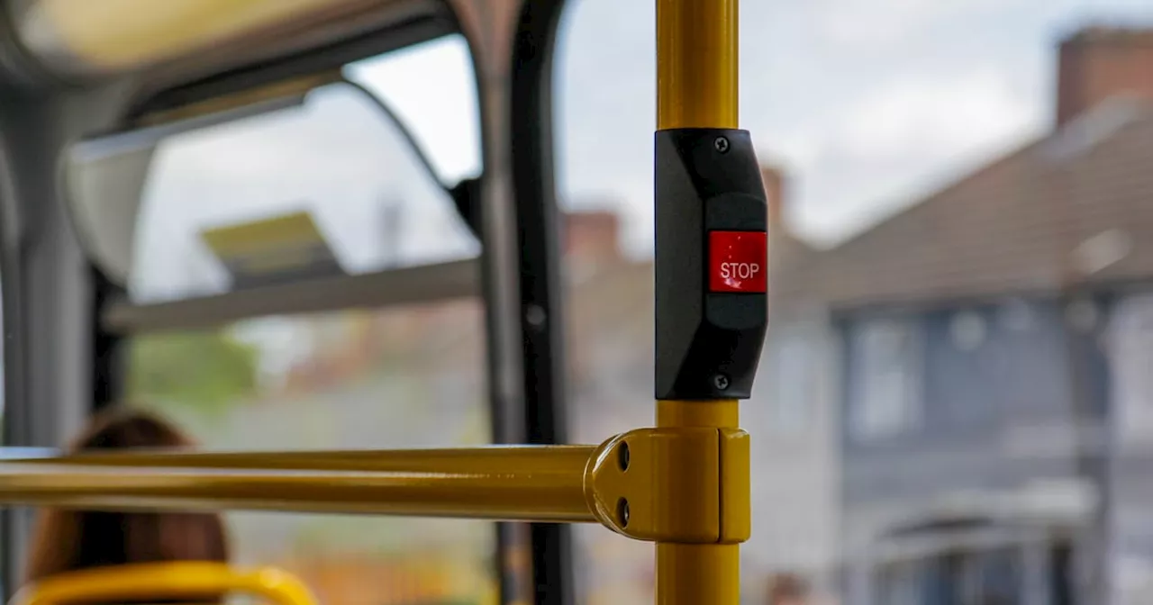 Brianna Parkins: Dublin Bus drivers are practised in the art of soundness. Sydney could learn from them