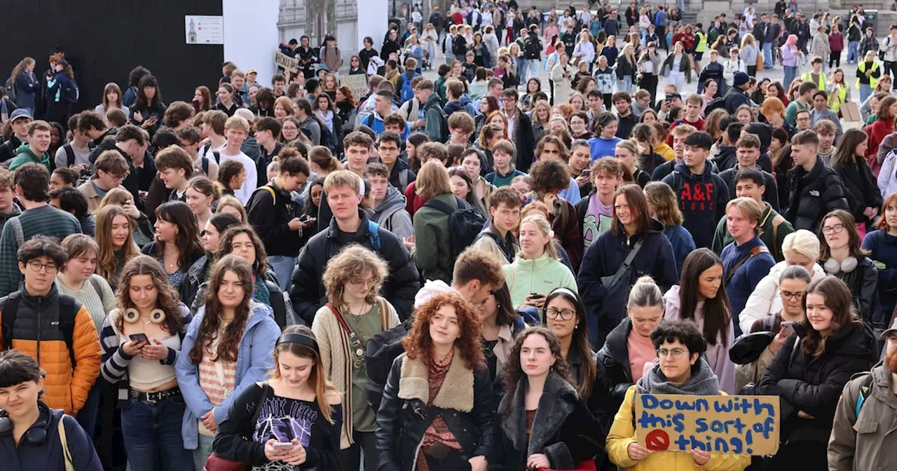 Student protest: Anger over accommodation crisis, but will they vote for Sinn Féin?