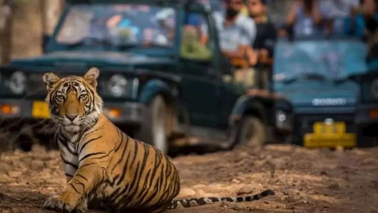 अगर आपने भी कार्बेट भ्रमण के लिए बुकिंग कराई है तो ध्‍यान दें, 'यह विभागीय वेबसाइट नहीं है'