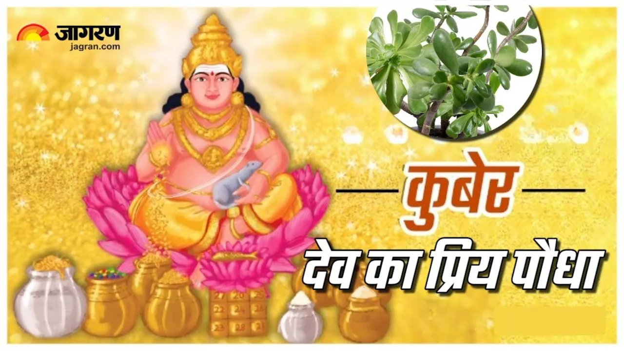 Kuber Dev favorite plant: घर में जरूर लगाएं ये पौधा, जमकर बरसेगी कुबेर देव की कृपा