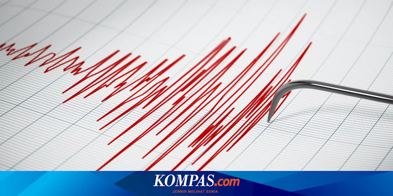 AI Dipercaya Bisa Bantu Seismolog Temukan Gempa Bumi Dahsyat