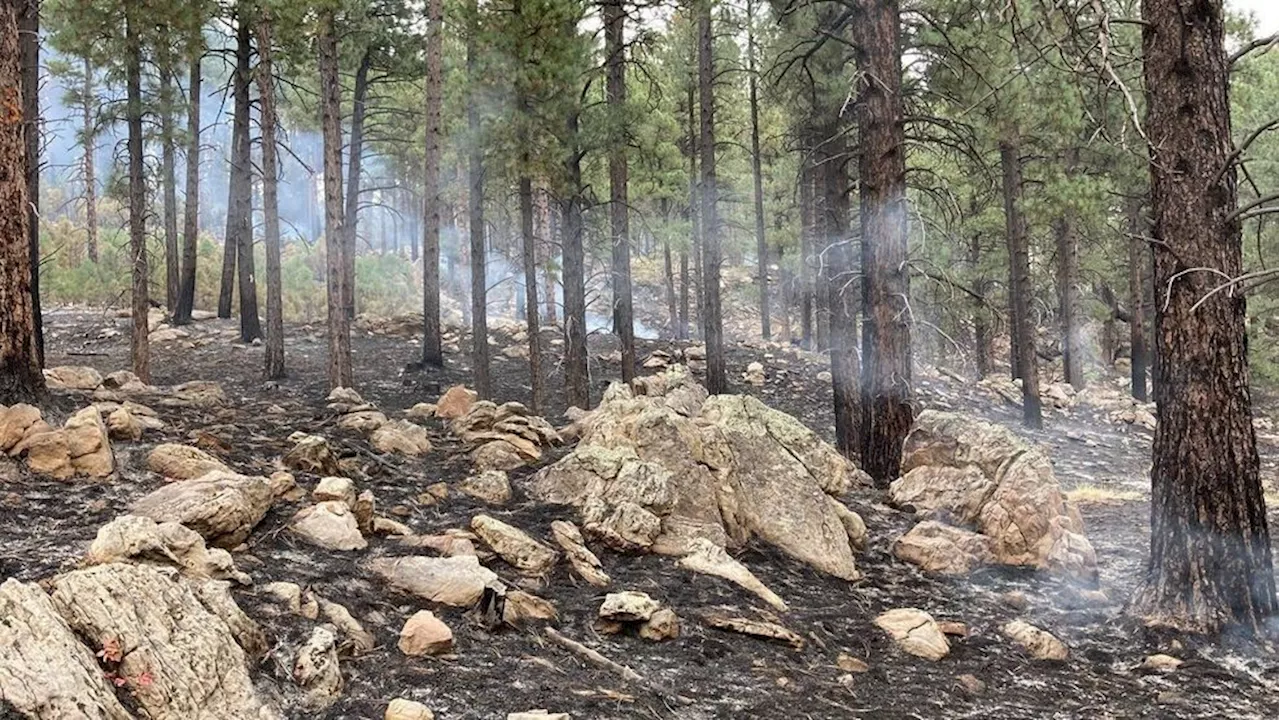 Fire officials fully suppress Verdure Creek Fire in San Juan County