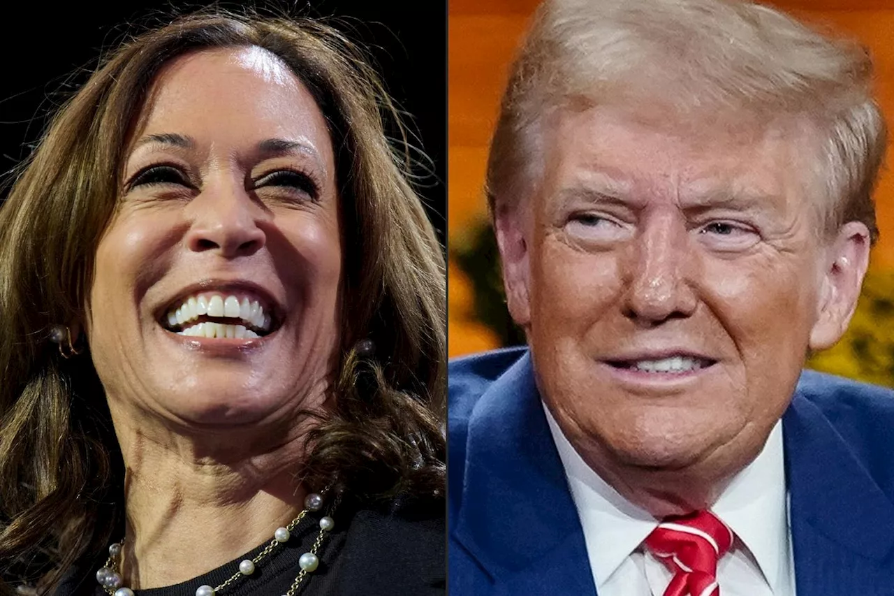 Direction le Michigan: Trump et Harris en meeting dans le même Etat clé