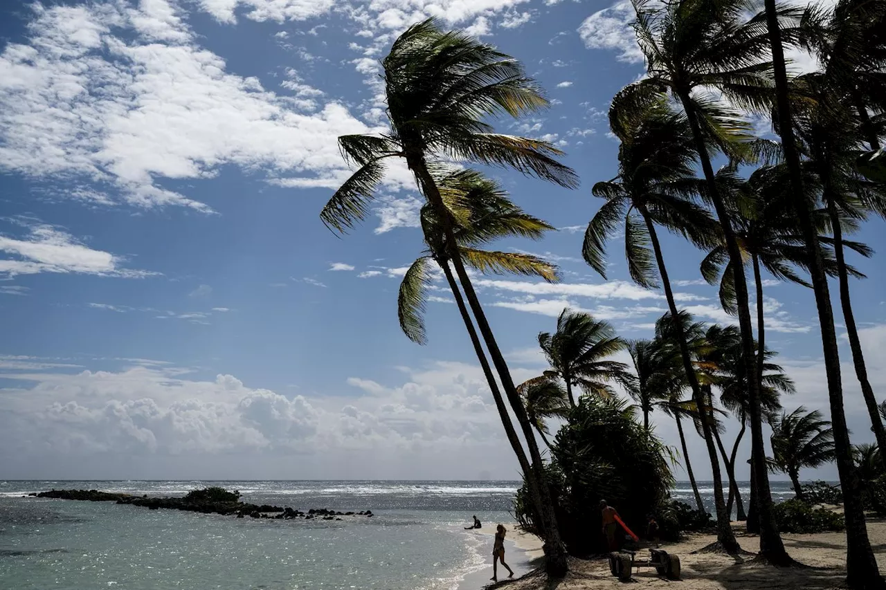 Guadeloupe: 71.000 foyers privés d'électricité en raison de délestages liés à une nouvelle grève