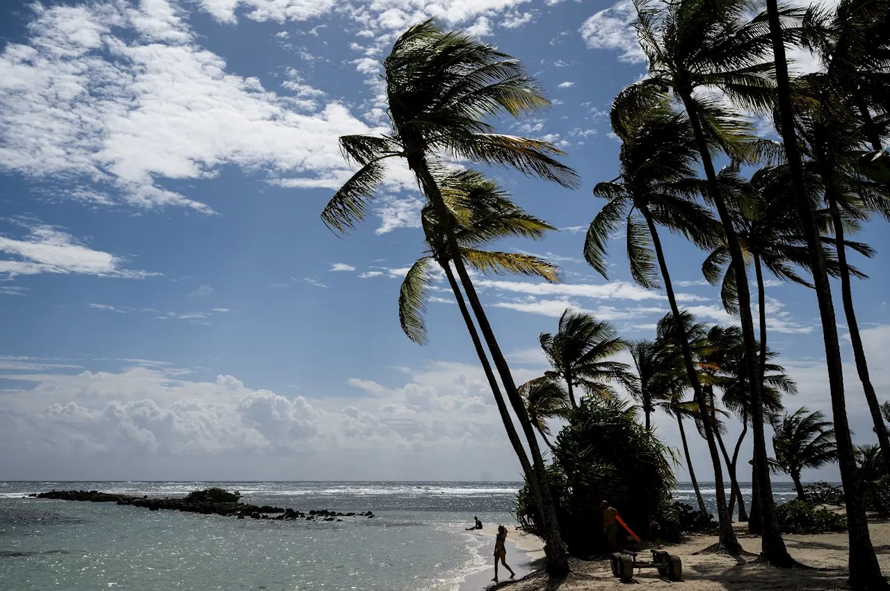 Guadeloupe: 71.000 foyers privés d'électricité en raison de délestages liés à une nouvelle grève