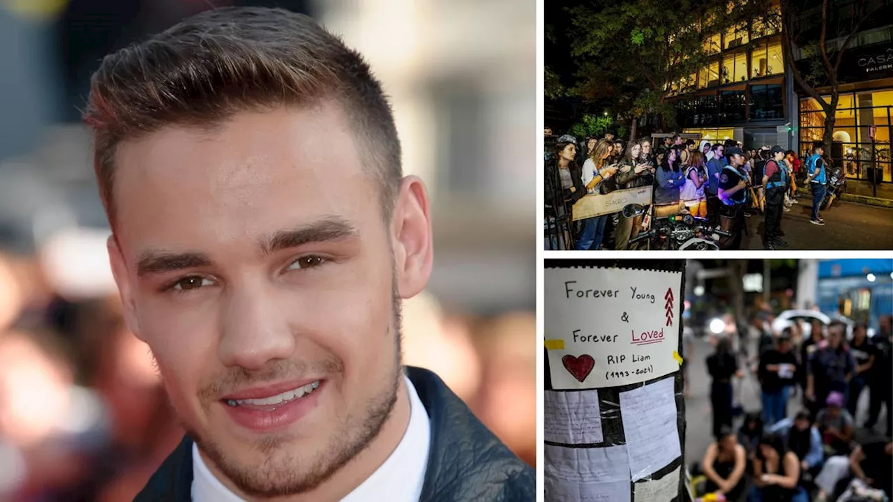 Liam Payne's tragic death following tragic fall from hotel in Argentina