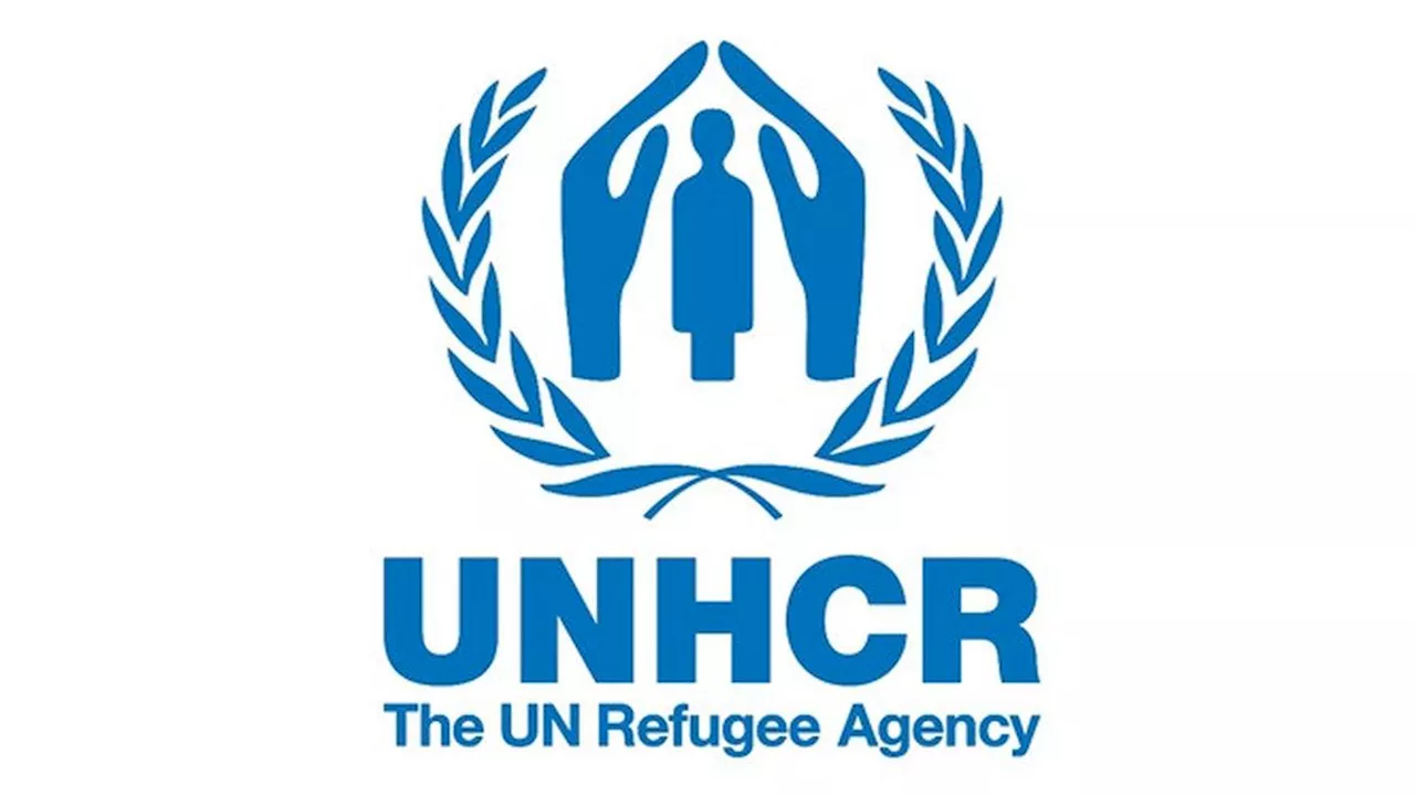 UNHCR Adalah Organisasi di Bawah PBB, Tangani Masalah Pengungsi di Dunia