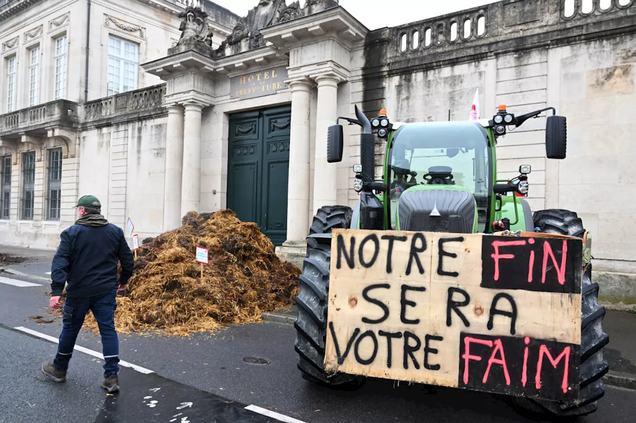 Colère des agriculteurs : un an après les grandes manifestations, certains retournent dans la rue