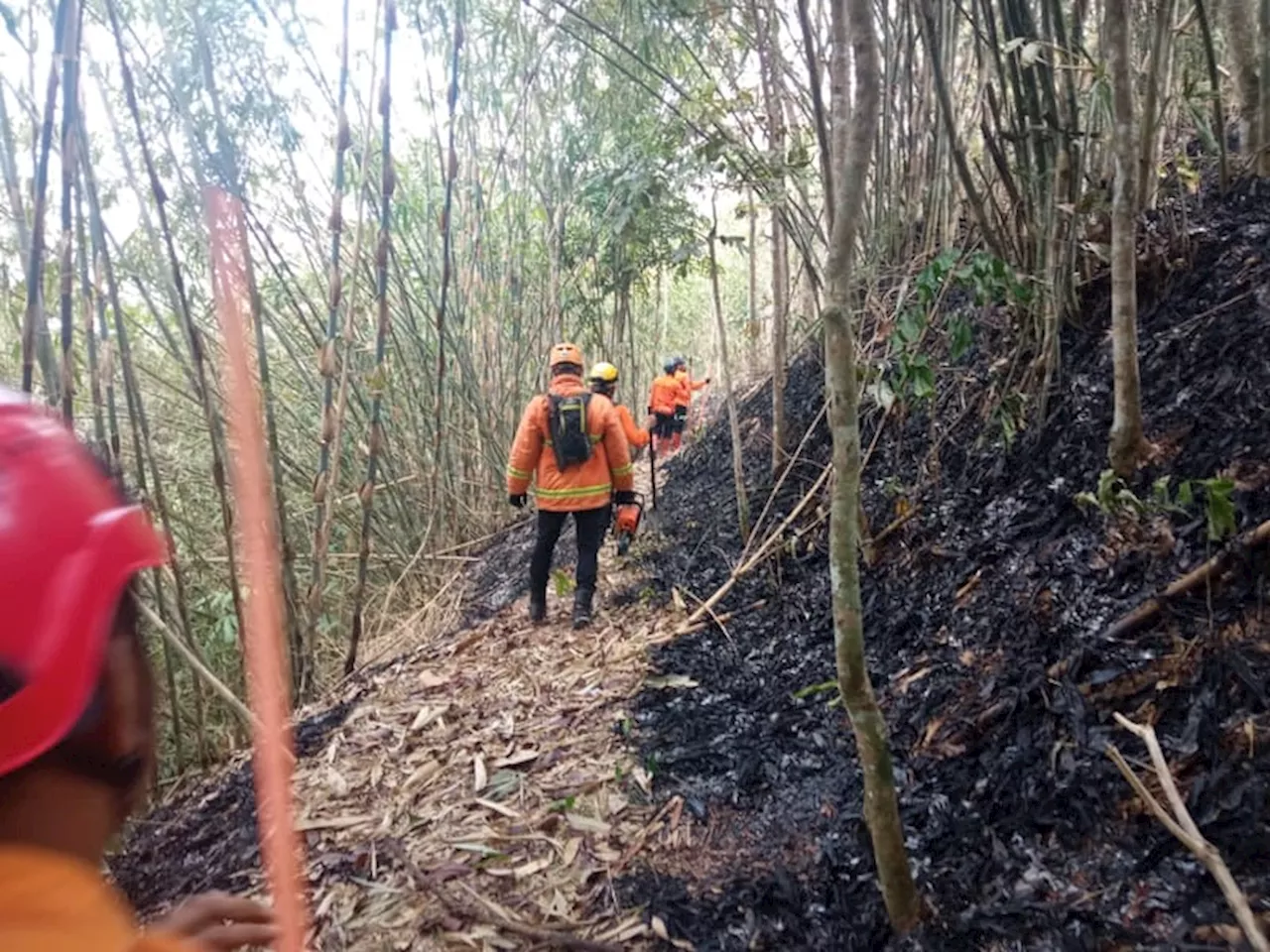 Puntung Rokok Sebabkan Karhutla di Ciamis