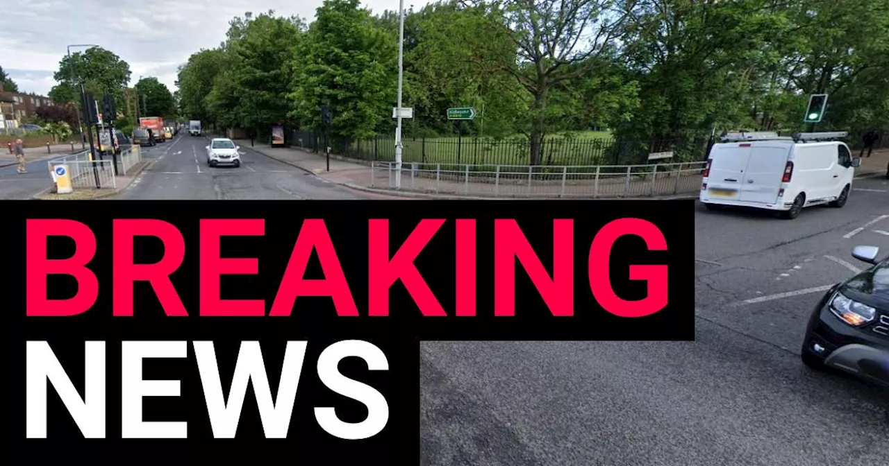 Pregnant woman and unborn baby die in crash with Met Police car