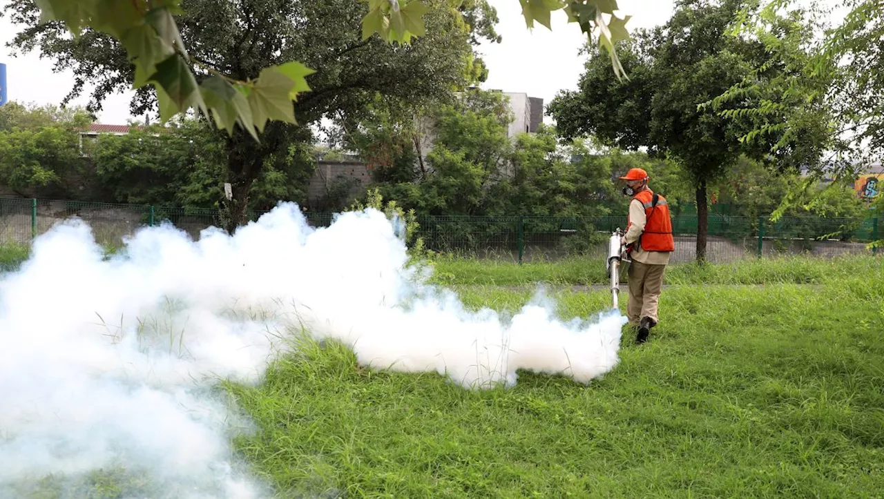 Notifican 66 defunciones en Nuevo León por probable dengue y confirman 4