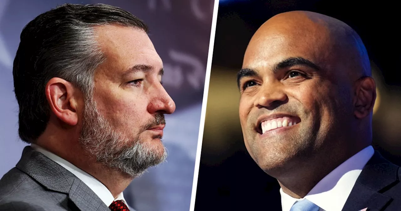 Texas Democrats have best chance yet to defeat Ted Cruz after Colin Allred debate