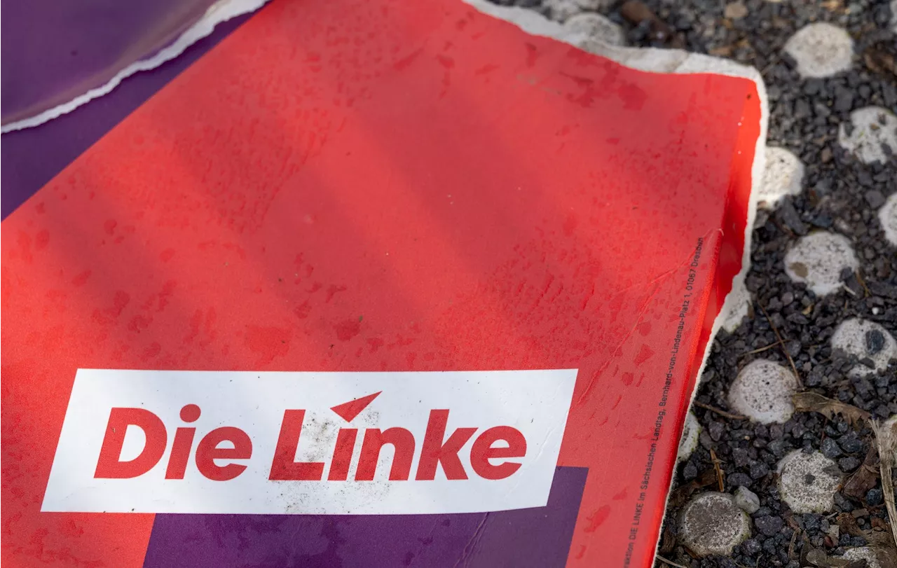 Parteitag in Halle: Die Linke versucht den Neustart