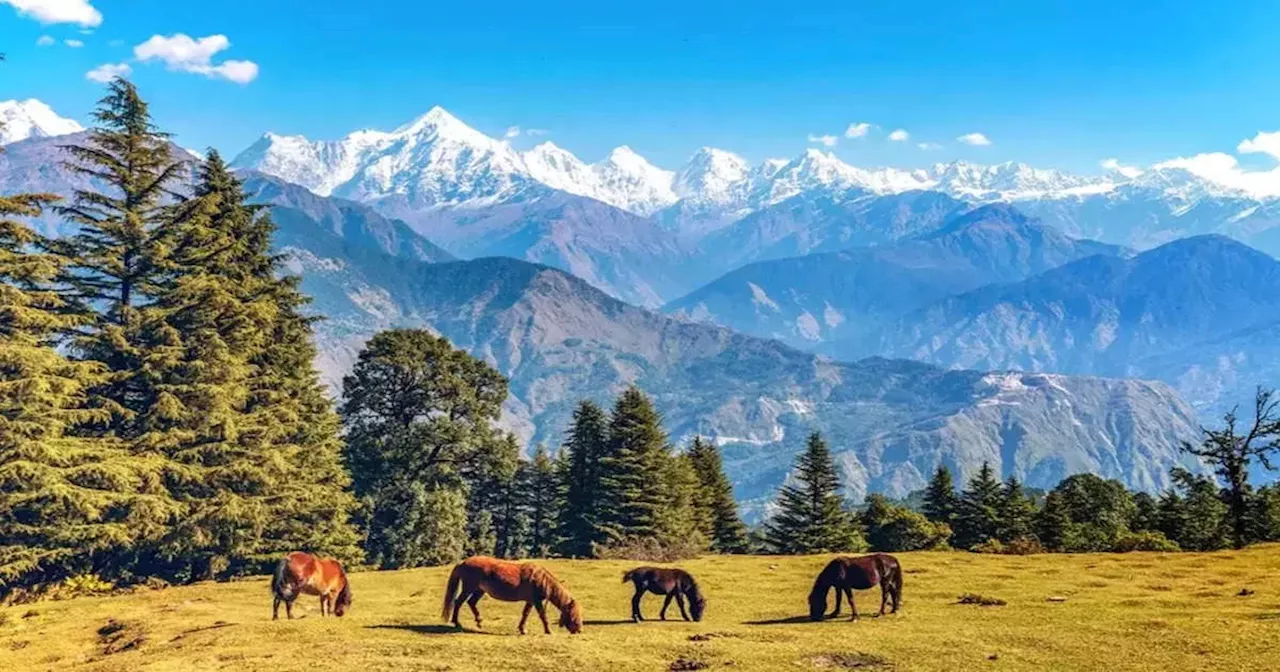 मुनस्यारी में हल्की बर्फबारी, उत्‍तराखंड में पर्वतीय इलाकों में बढ़ी ठिठुरन, गिर रहा न्‍यूनतम तापमान