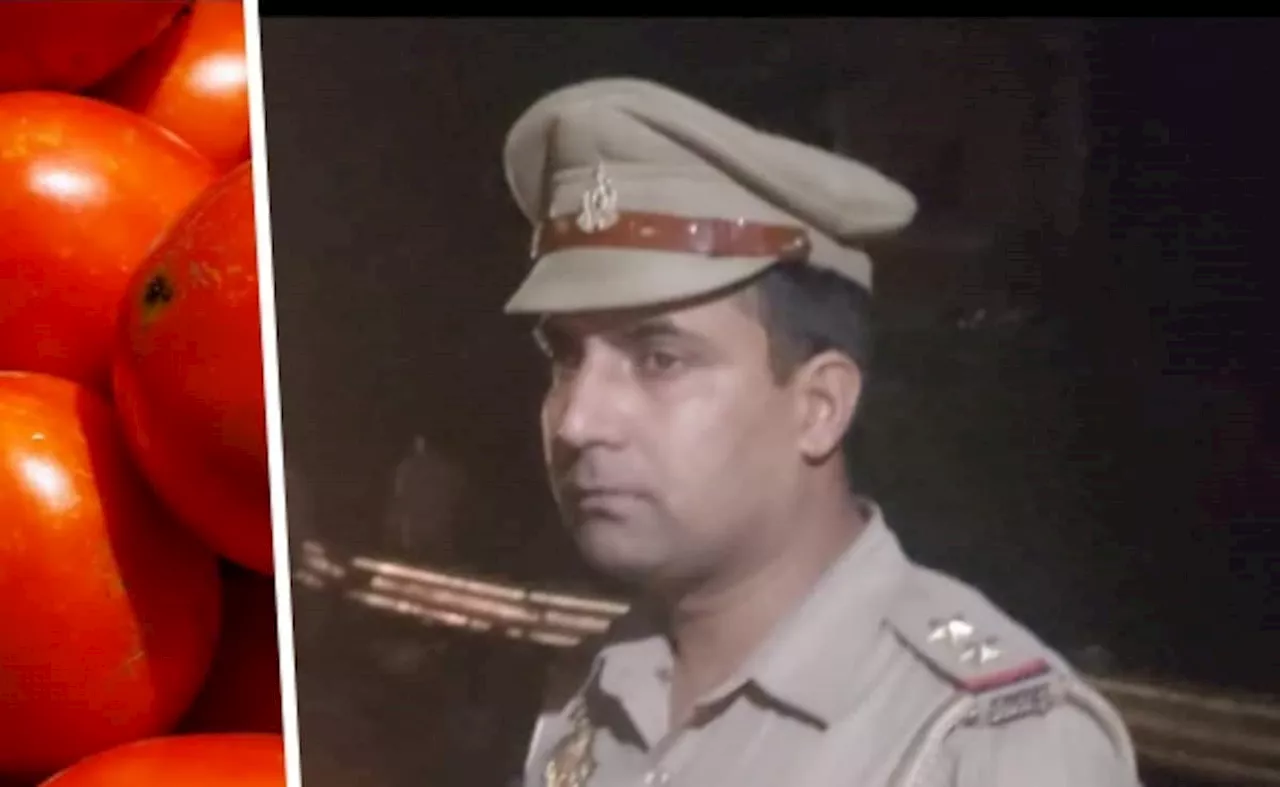 टमाटर से भरा ट्रक पलटा और लूटने पहुंच गई भीड़, पुलिस ने रातभर दिया 'सोने-चांदी' जैसा पहरा